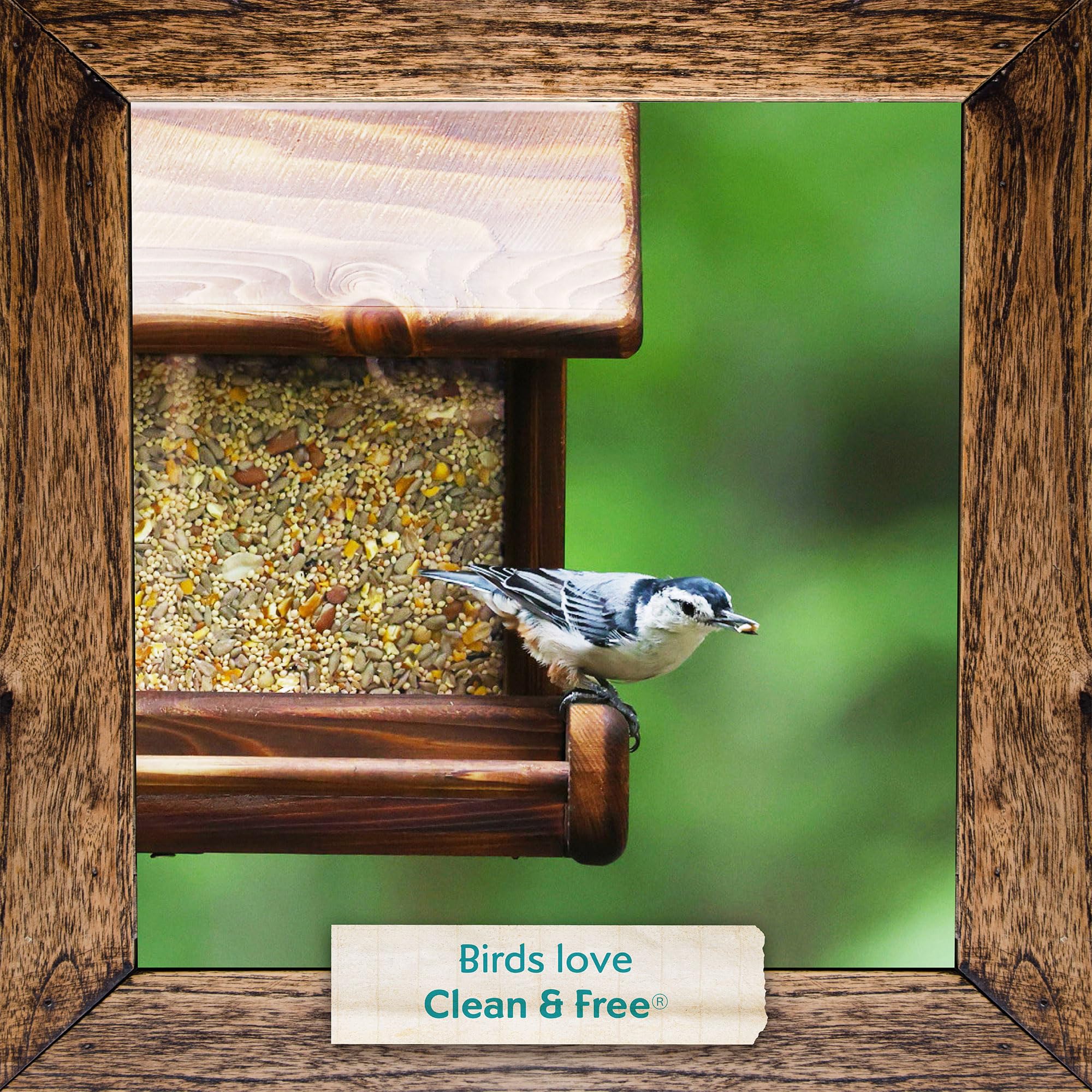Morning Song 100 percent edible seed minimizes waste.