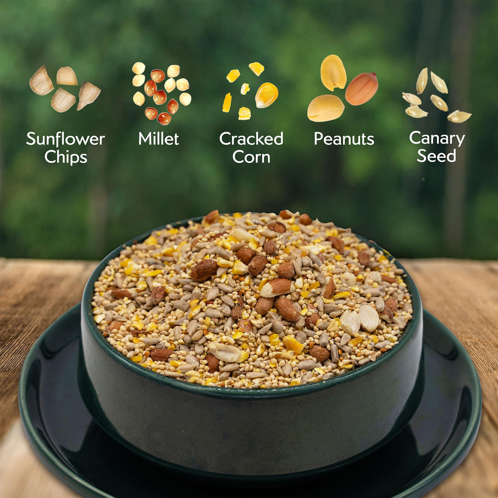 Morning Song sunflower chips and peanuts highlight high-energy feeding.