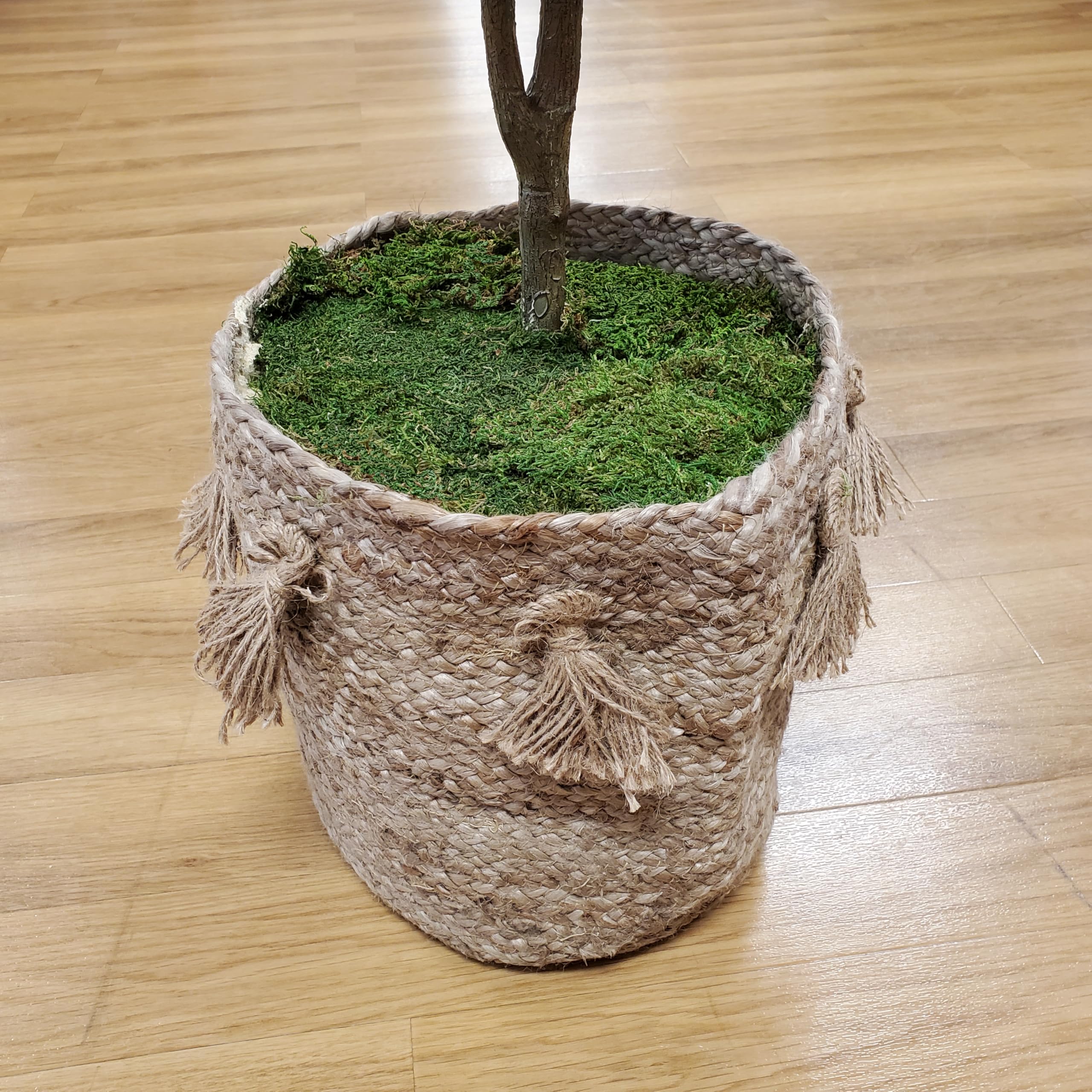 Easy-cut moss sheets from Mosser Lee for custom fits