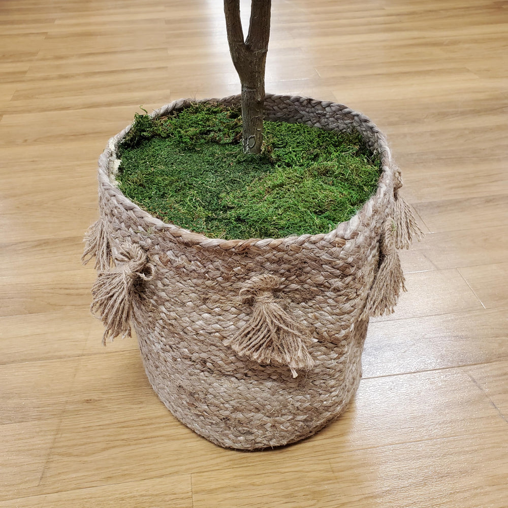 Easy-cut moss sheets from Mosser Lee for custom fits