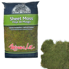 Mosser Lee ML0480 natural green sheet moss for terrariums and planters