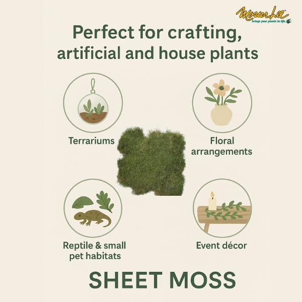 Terrarium moss cover by Mosser Lee for lush displays