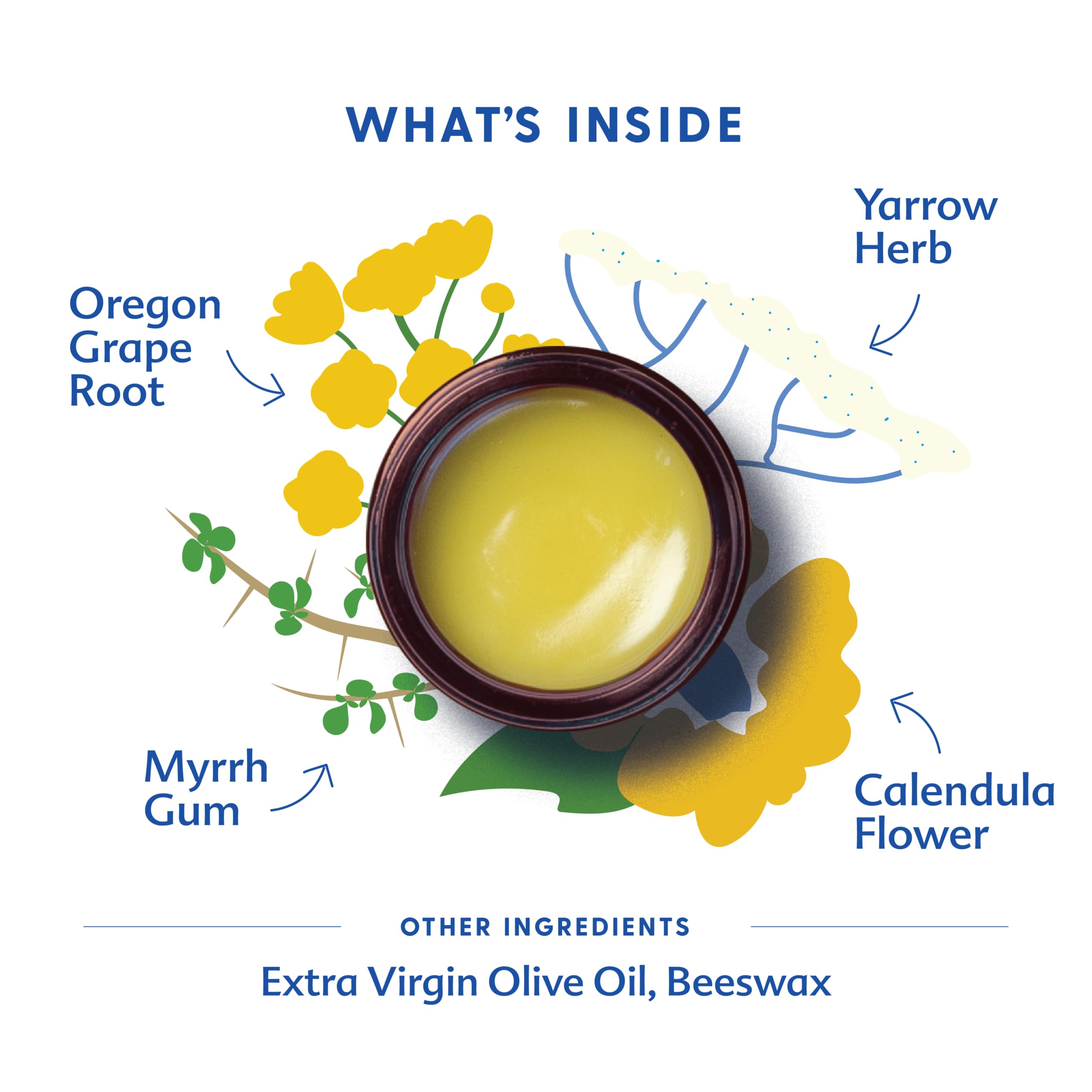 Ingredients of Motherlove Diaper Balm highlighted in the blend.