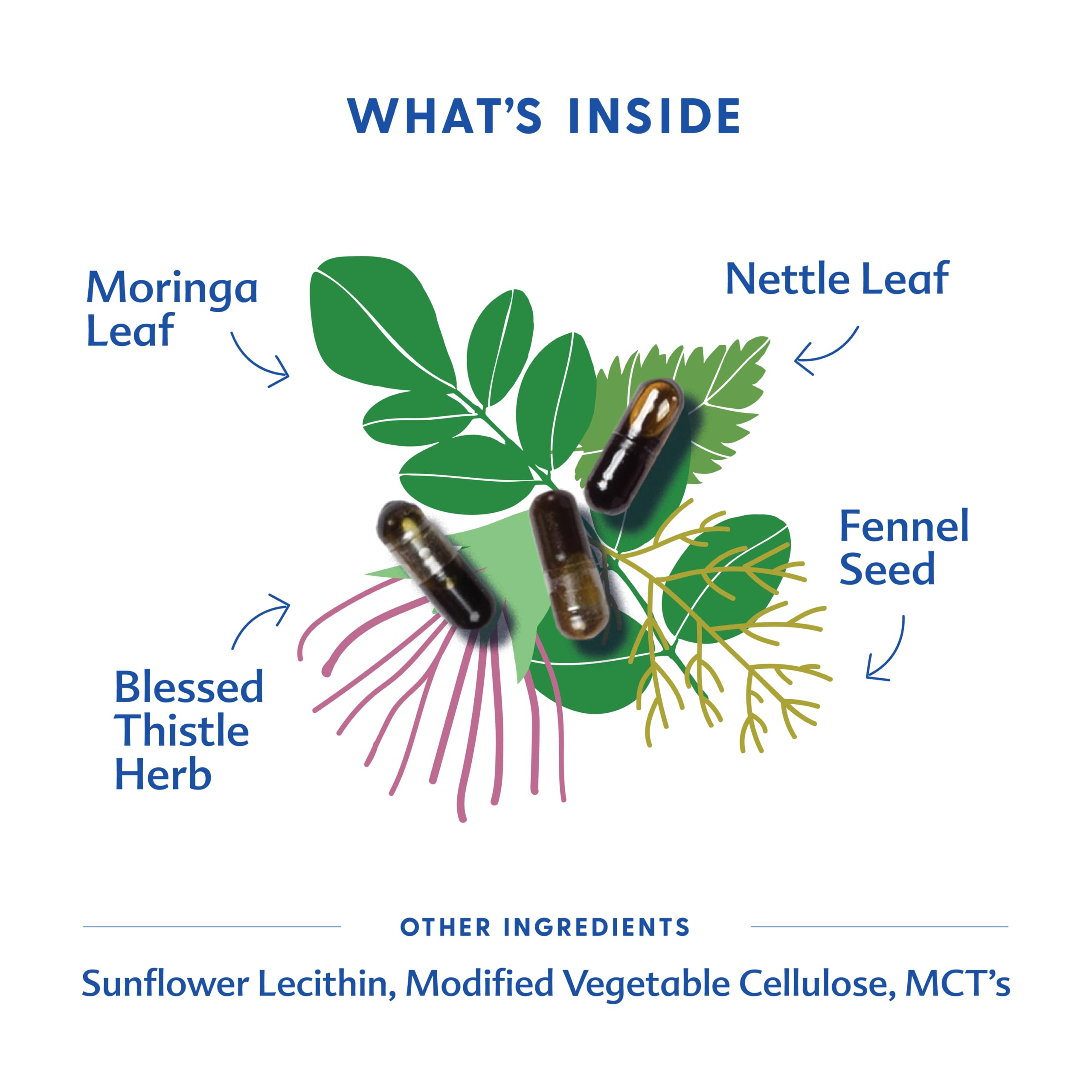 Organic herbs blend on the label for More Milk Moringa, hinting at a herbal blend