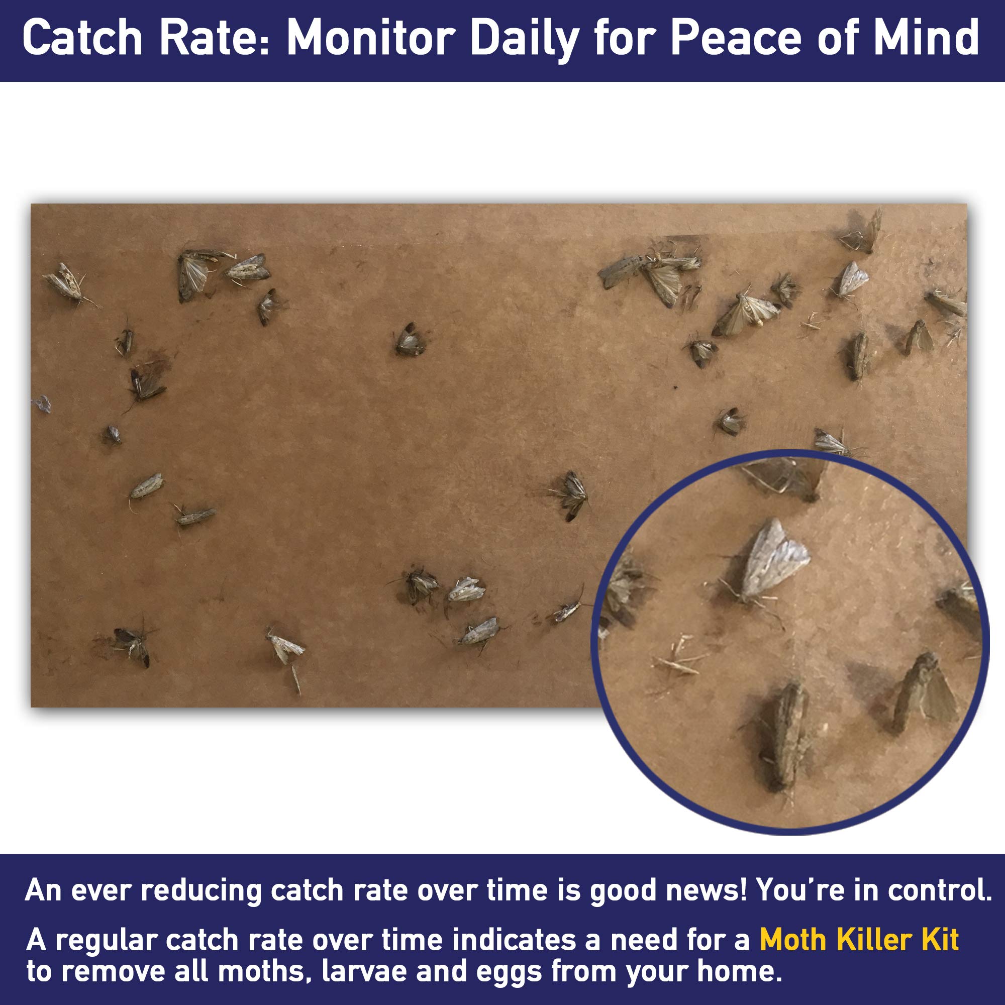 MothPrevention refill strips shown with a safe, pet-friendly design for homes with kids.