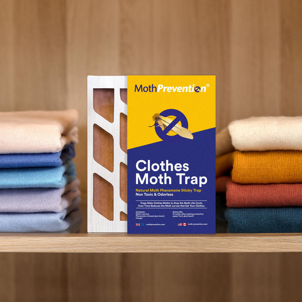 MothPrevention pheromone traps for clothing shown at work, guiding moths away.