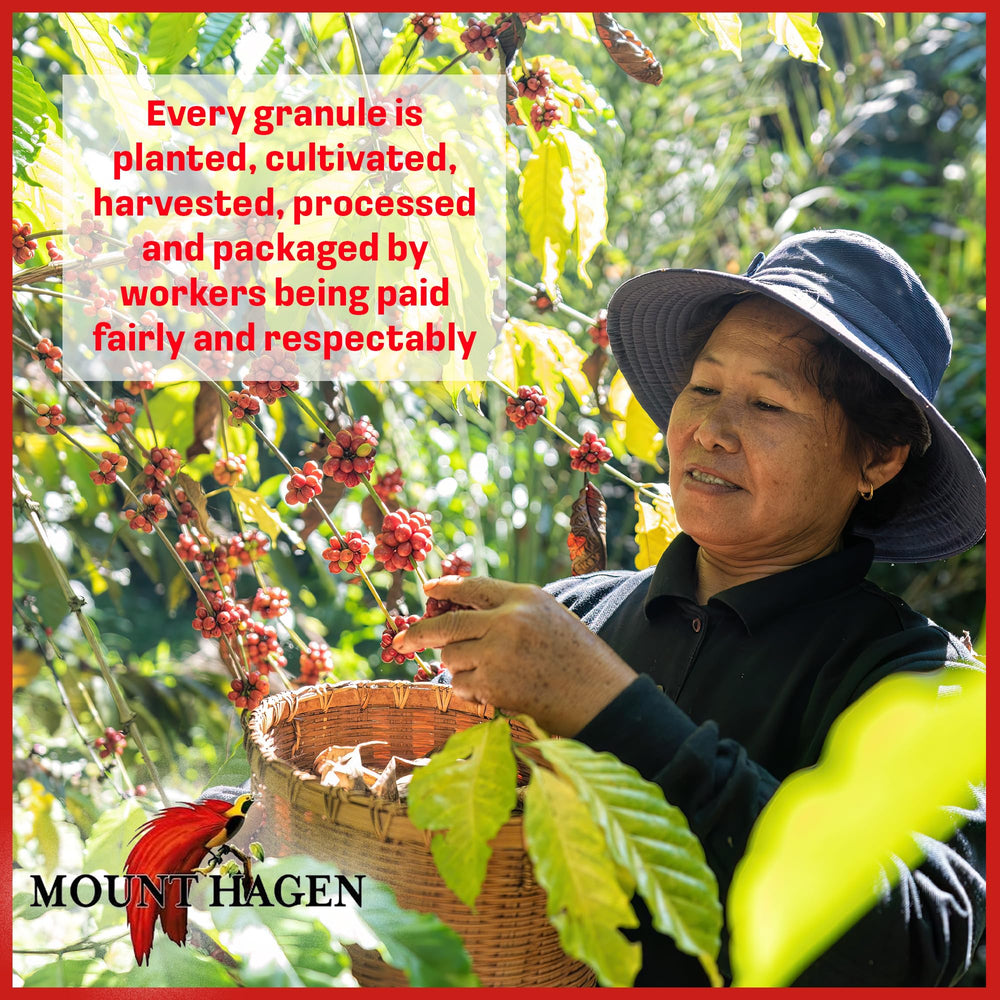 Organic Arabica beans in eco-friendly Mount Hagen packaging