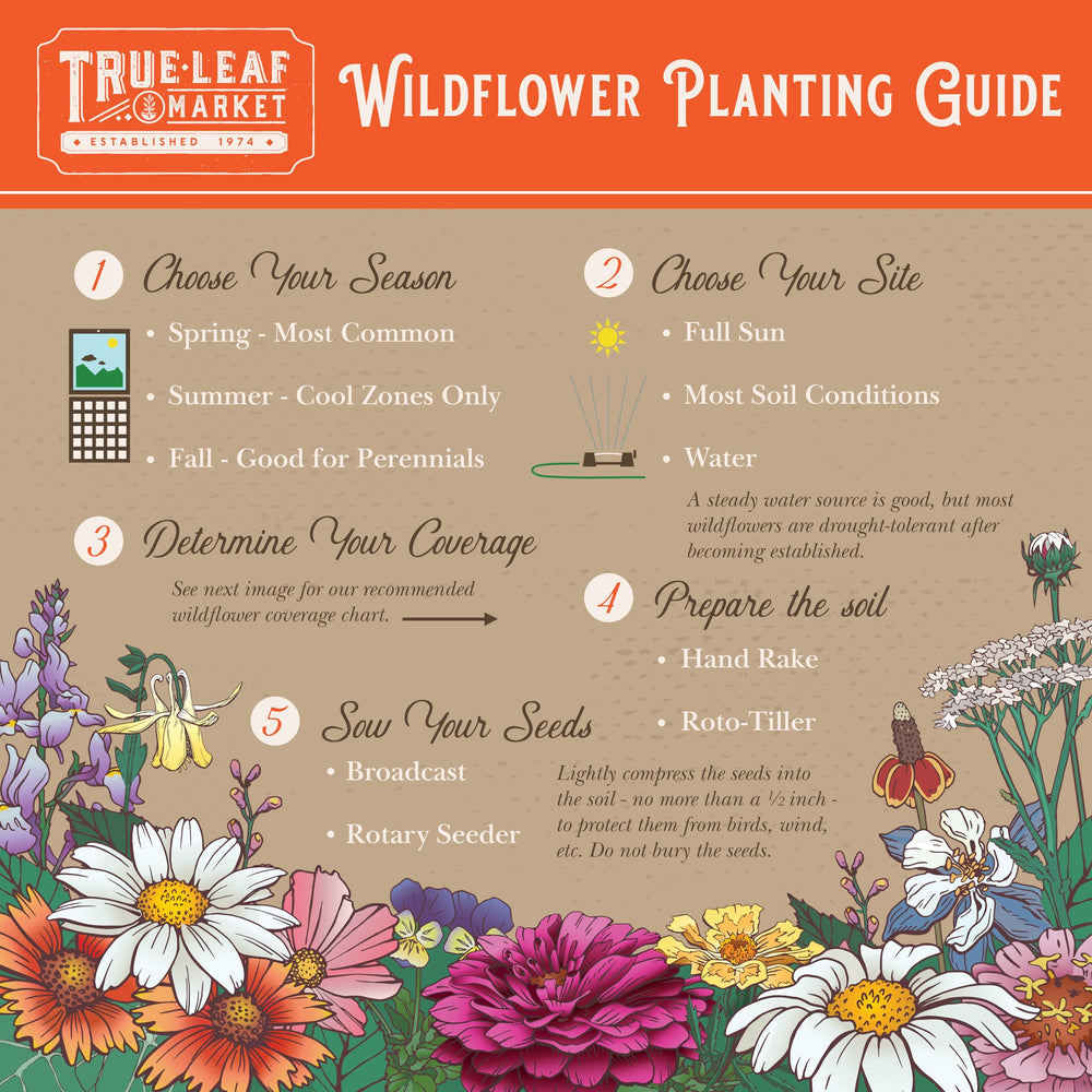 Mountain Valley compostable packaging emphasizes sustainable gifting and gardening.