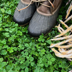 Mountain Valley Seed Company's microclover-seed for dense coverage and a low-maintenance lawn.