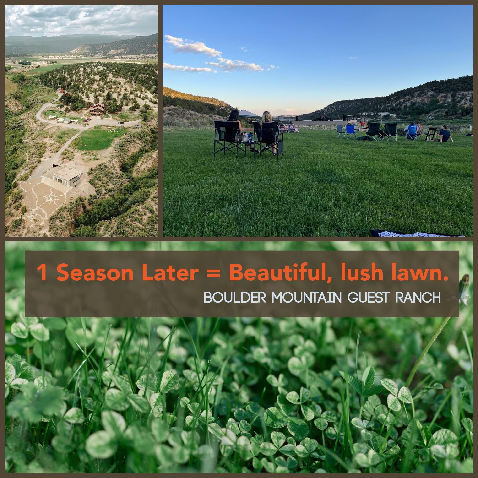 Mountain Valley Seed Co USA-grown seeds packaging conveys trusted origin.