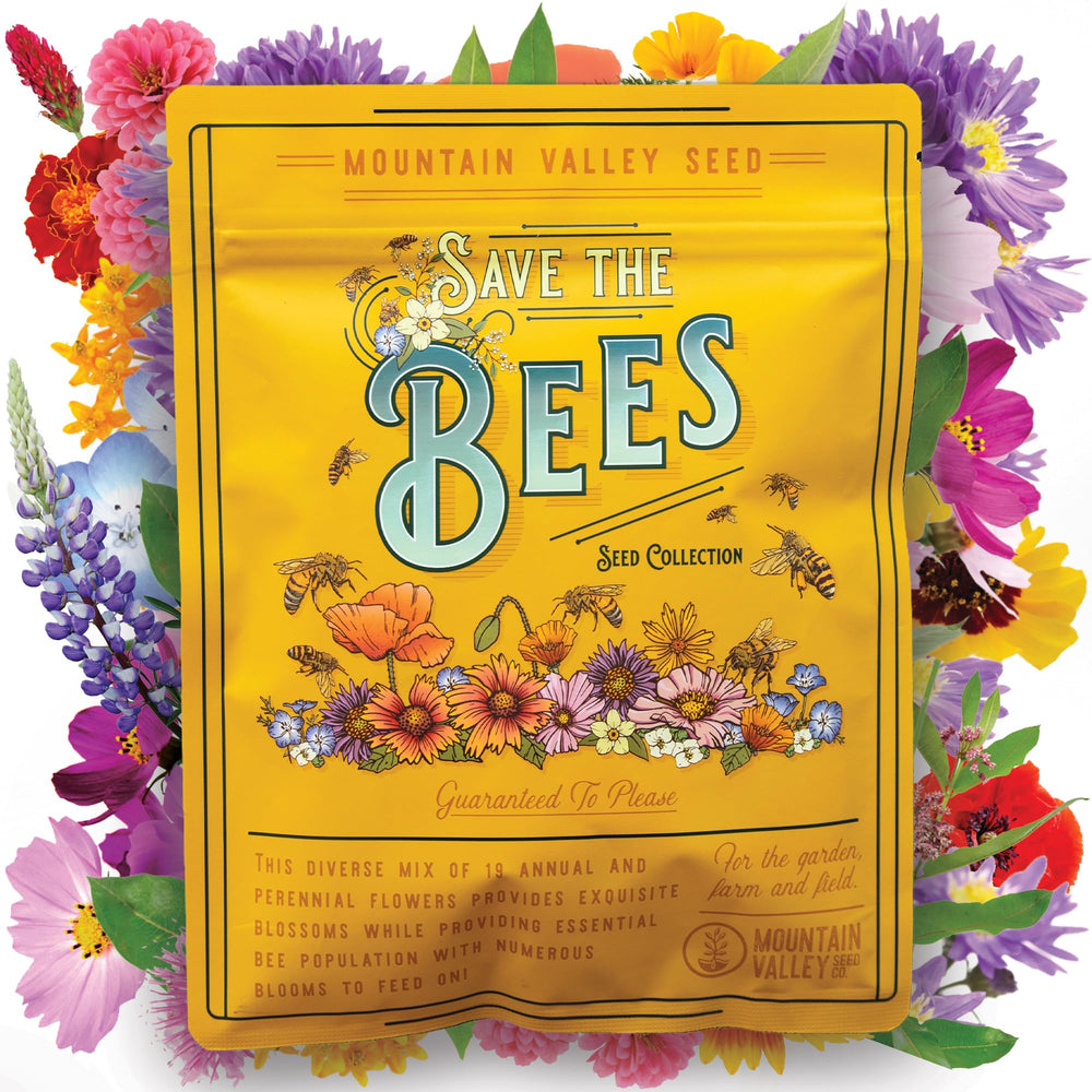 Mountain Valley Seed Company butterfly milkweed seed blooms to attract pollinators
