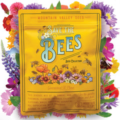 Mountain Valley Seed Company butterfly milkweed seed blooms to attract pollinators