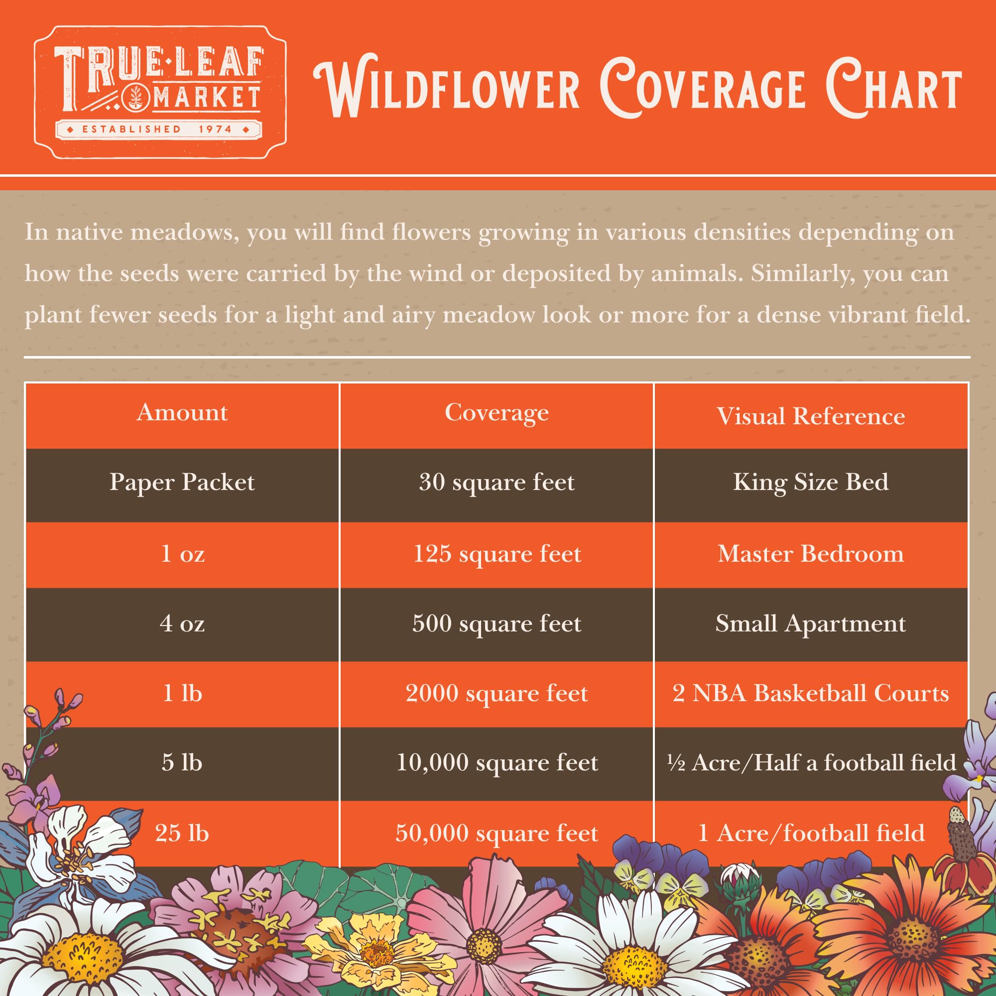 Mountain Valley Seed Company Cosmos seeds bring airy color to pollinator plots