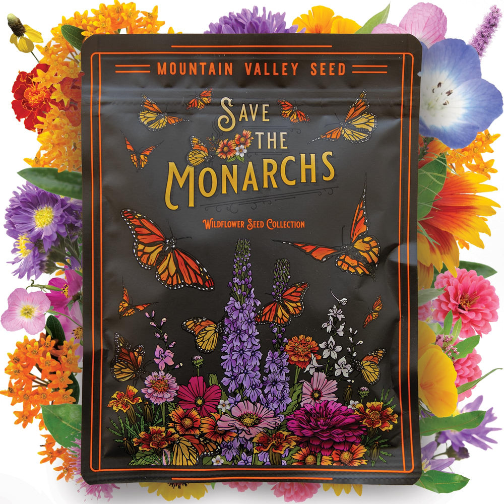Mountain Valley Wildflower Seed Mix monarch-attracting blooms for pollinator gardens