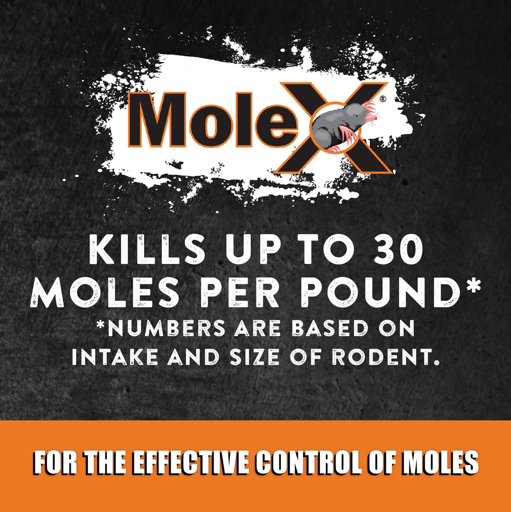 MouseX MoleX application area shot near mole activity