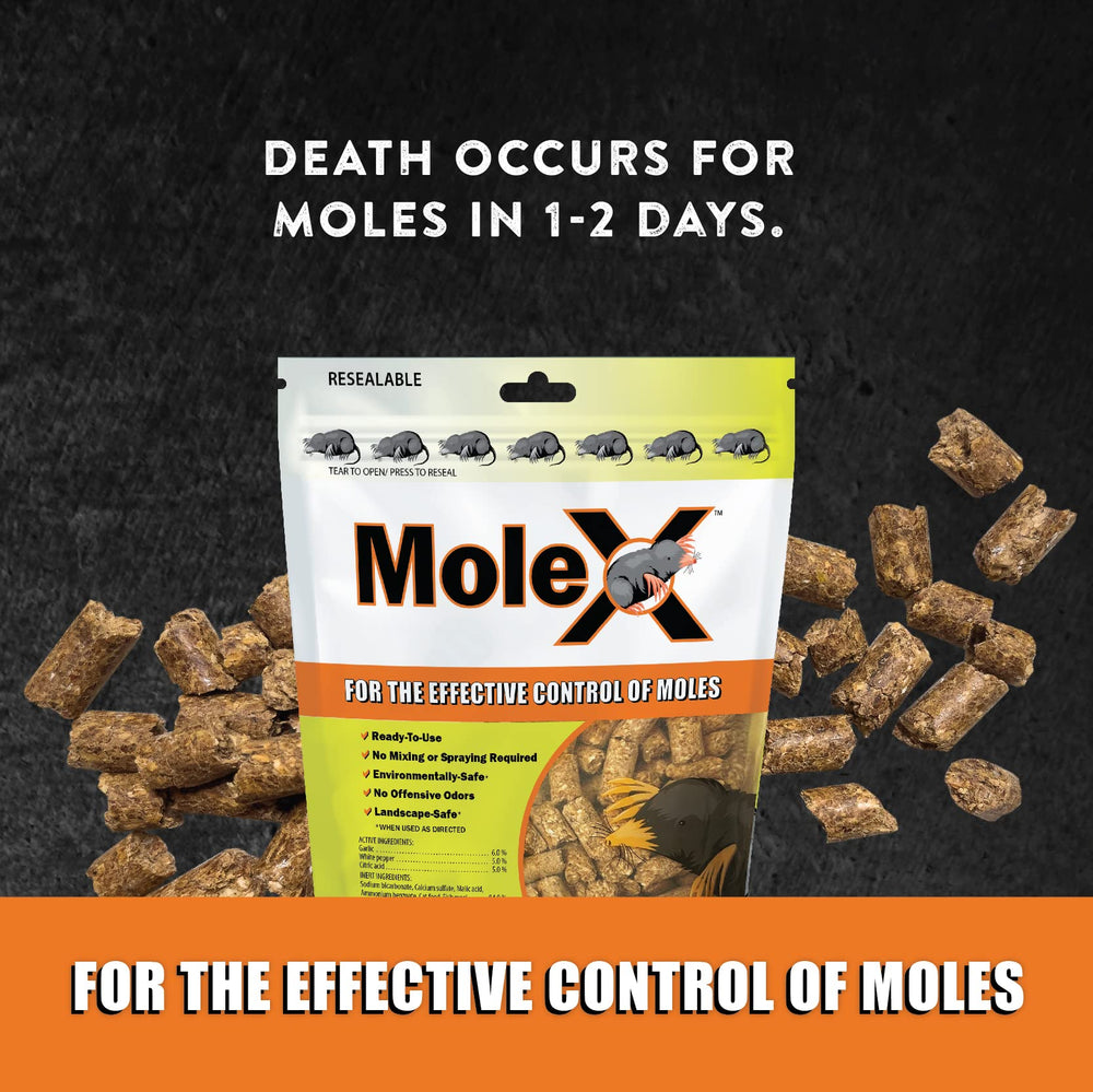 MouseX MoleX bag closeup texture highlights ready-to-use consistency