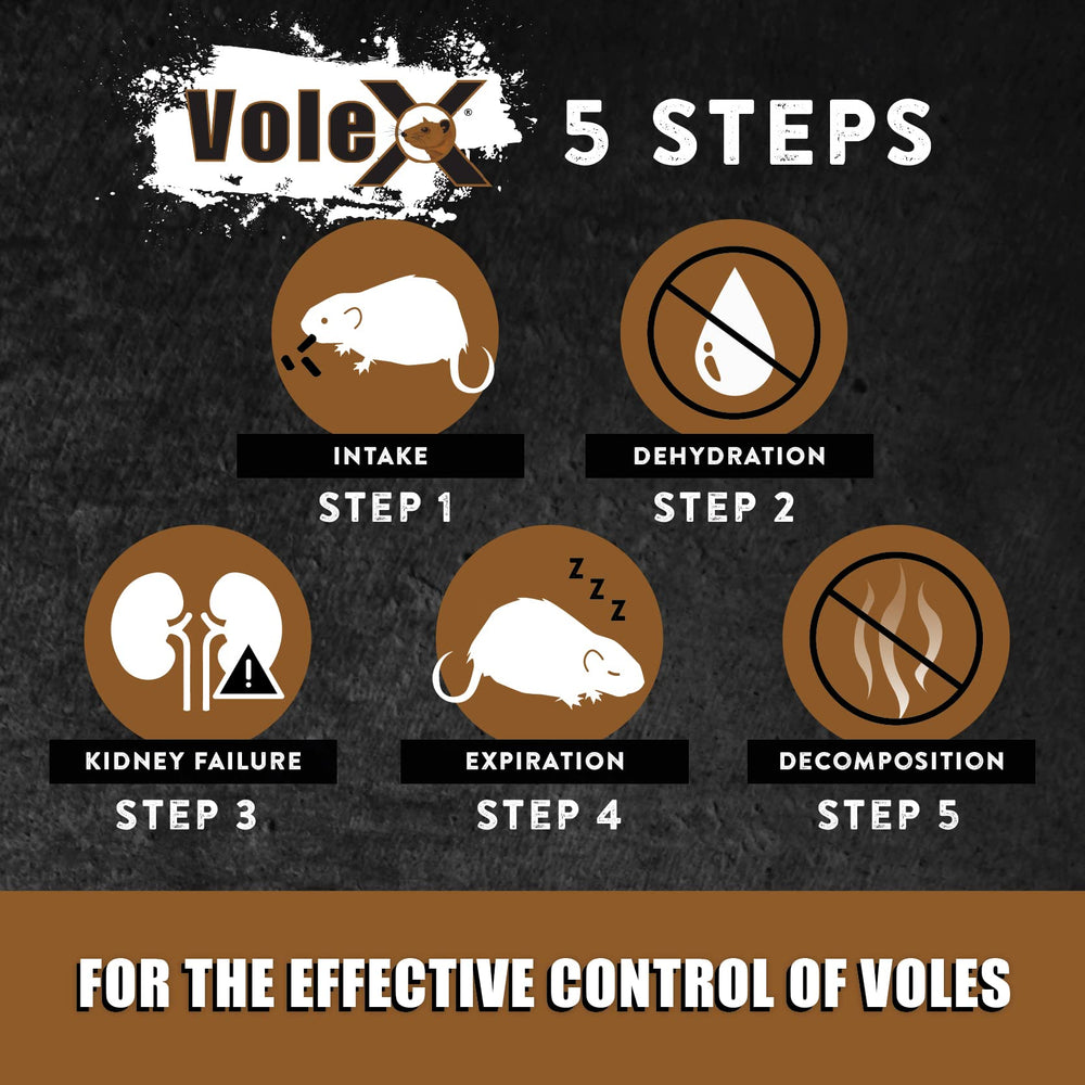 MouseX VoleX patented minimum-risk control badge.