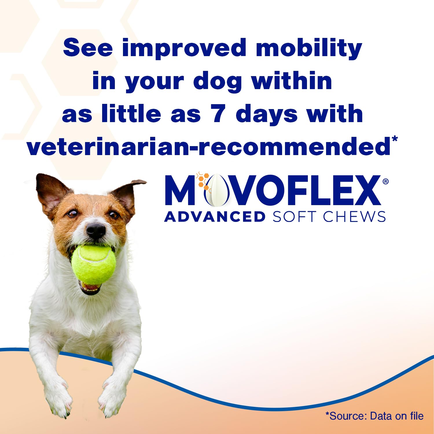 Movoflex soft chews chicken flavor close-up shows tasty daily treat.