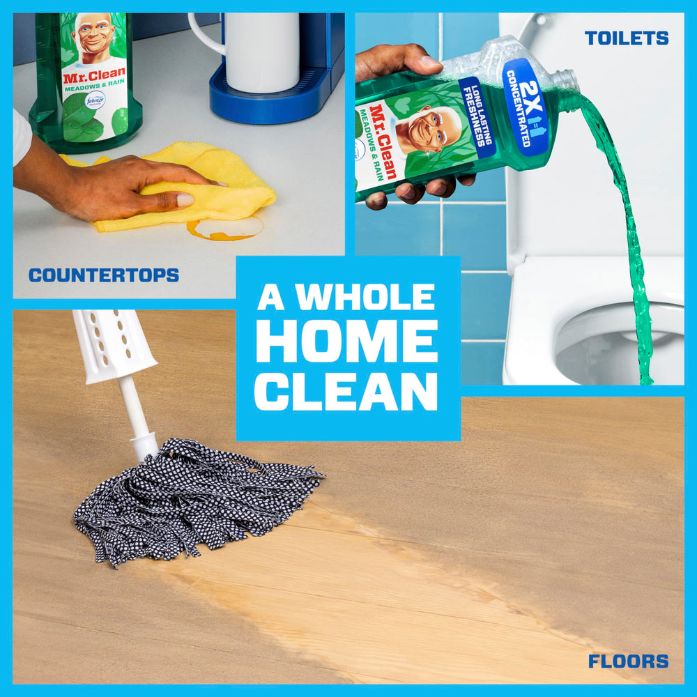 Mr. Clean Meadows & Rain bathroom cleaner tackling toilets and floors with fresh scent.