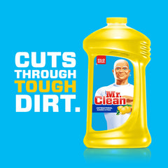 Mr. Clean Summer Citrus label close-up highlighting the antibacterial formula and size