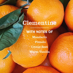 Dishes look bright and grease-free after washing with Clementine from Mrs. Meyer's.