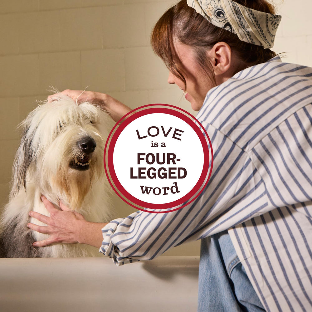 Mrs. Meyer's Clean Day dog deodorizing spray on a countertop showing quick-use convenience.
