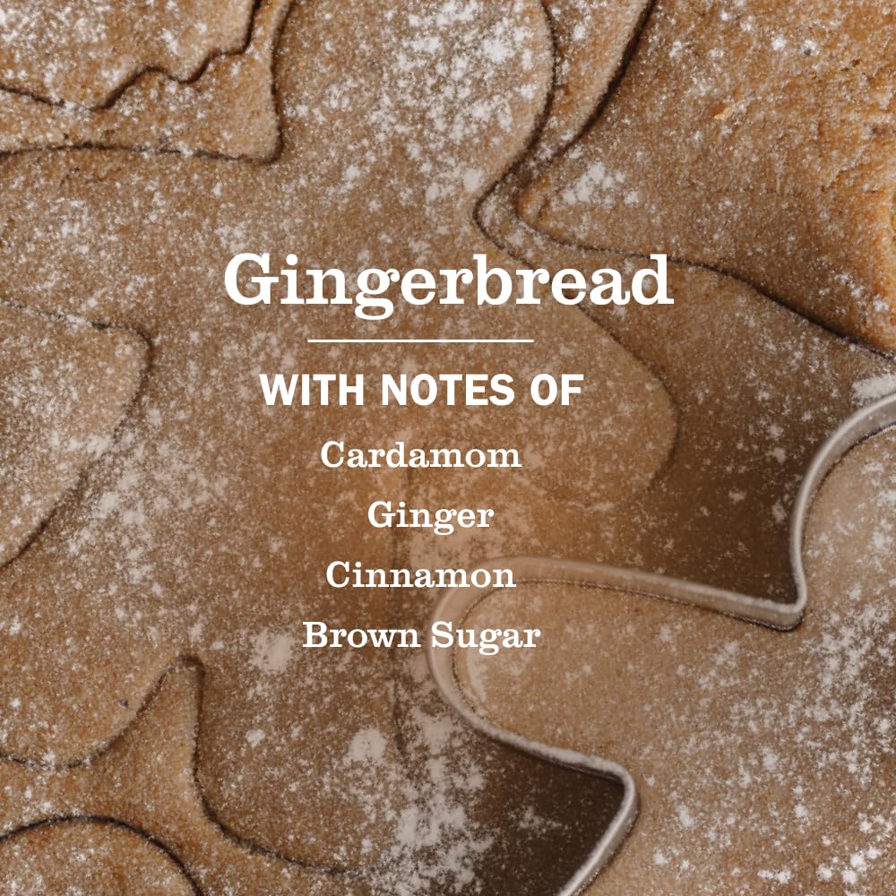 Creamy lather from Mrs. Meyer's Gingerbread soap showing gentle cleansing