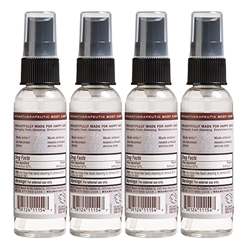 Travel-size lavender sanitizer bottle in purse-friendly 2 oz format