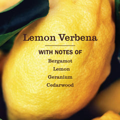 Lemon Verbena surface cleaning on a counter by Mrs. Meyer's Clean Day