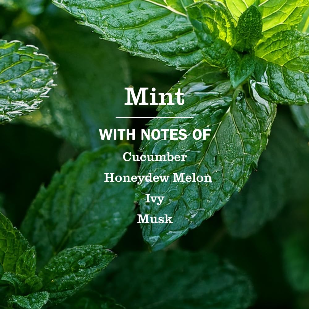 Close-up of mint scent notes on the Mrs. Meyer's cleaner label, inviting aroma.