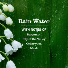 Mrs. Meyer's Clean Day Rain Water dish soap pump for easy dispensing.