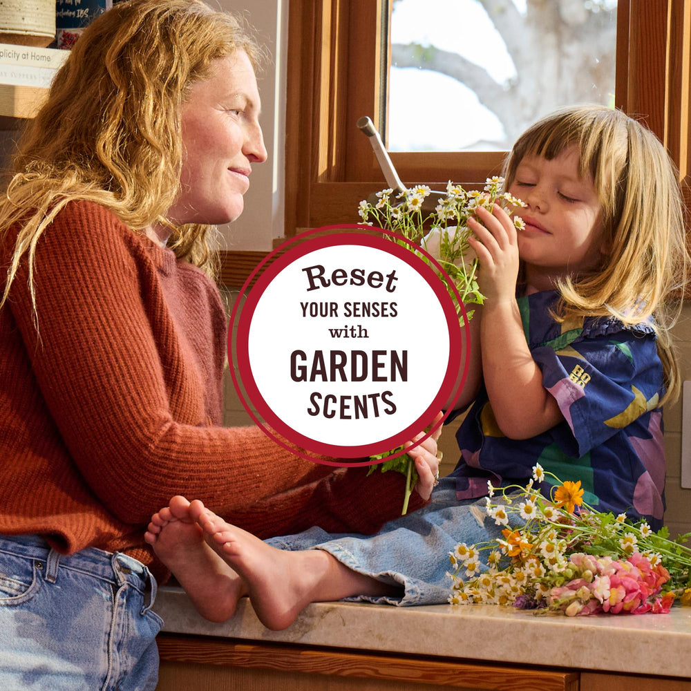 Three-pack display of Mrs. Meyer's Clean Day Iowa Pine for multiple rooms