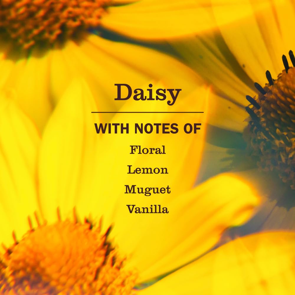 Mrs. Meyer's Daisy 3-pack packaging highlights value and convenience.