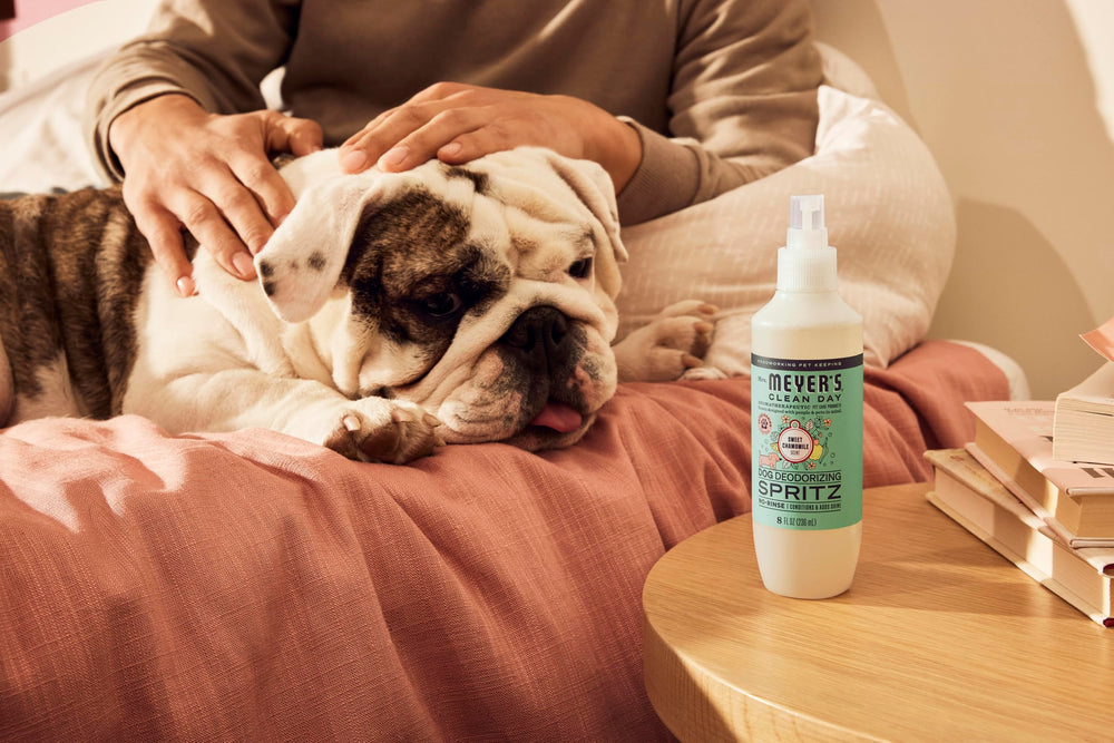Mrs. Meyer's Dog Deodorizing Spray easy routine for busy pet parents