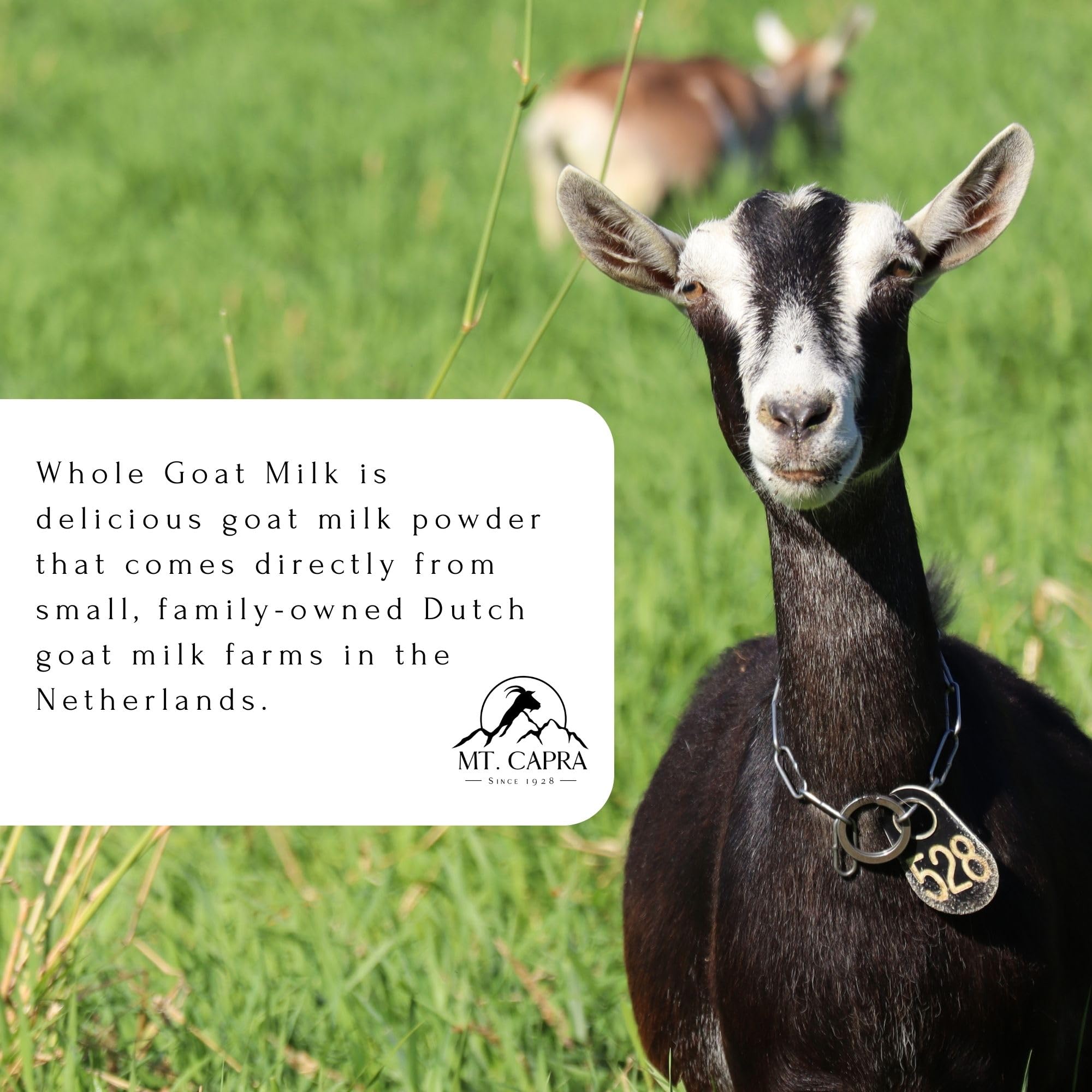  Mt Capra Goat Milk Powder sourced from Dutch grass-fed family farms.