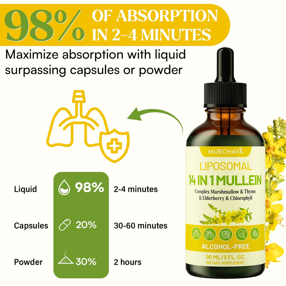 Muechaya Mullein Drops in daily routine support for breathing comfort.