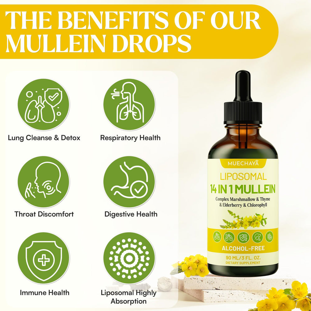 Muechaya Mullein Drops with elderberry and thyme supports immune-boosting and respiration.