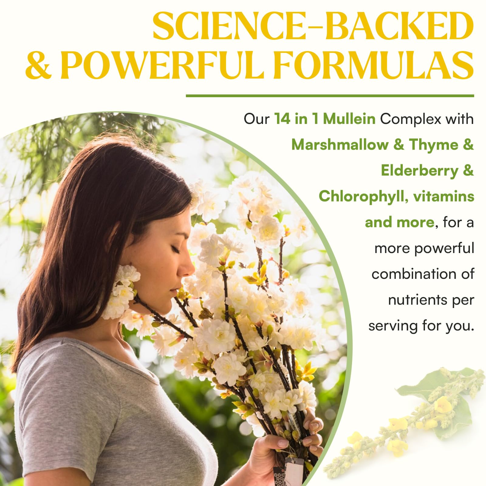 Muechaya Mullein Drops drops in glass suggest convenient daily intake.