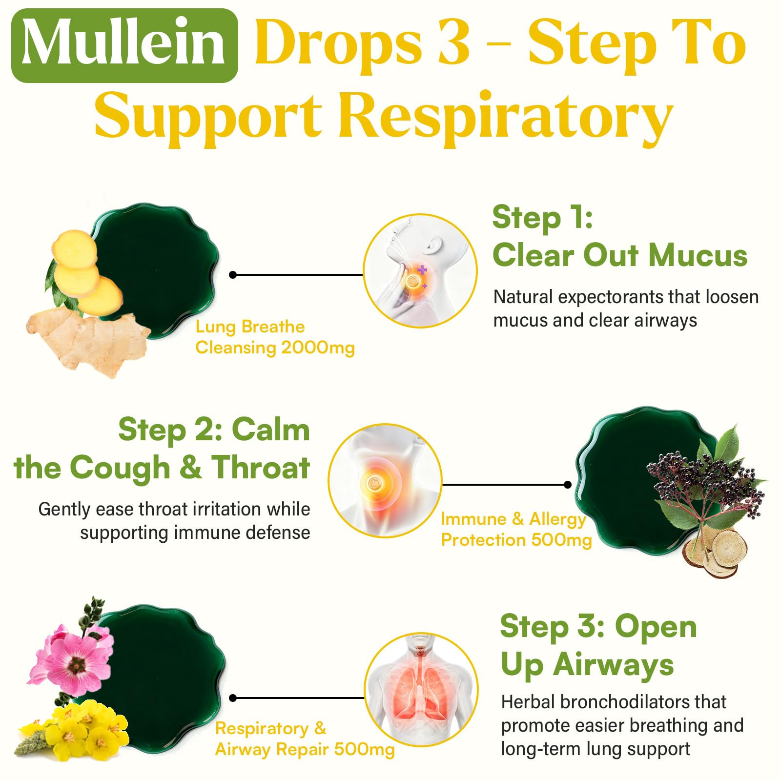 Muechaya Mullein Drops label closeup highlights liposomal delivery and ingredients.