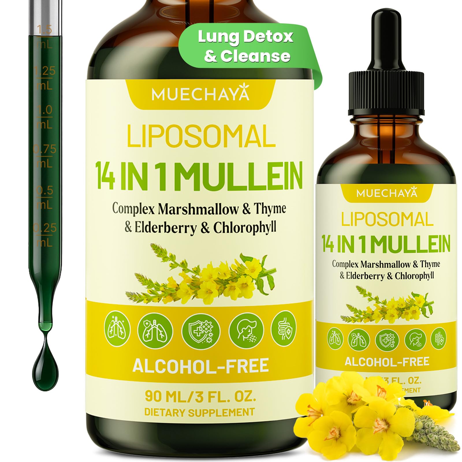Muechaya Mullein Drops bottle pour demonstrates easy dosing for daily lung support.