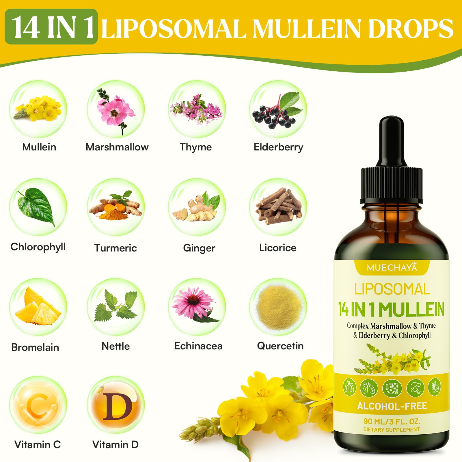 Muechaya Mullein Drops mint flavor splash invites refreshing use.