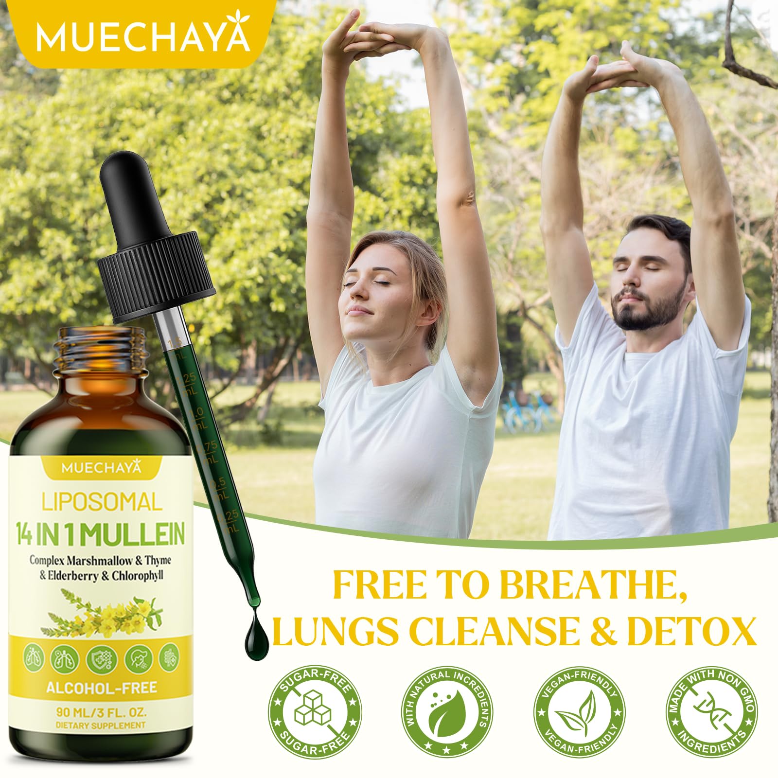 Muechaya Mullein Drops packaging box emphasizes clean, non-GMO, sugar-free formula.