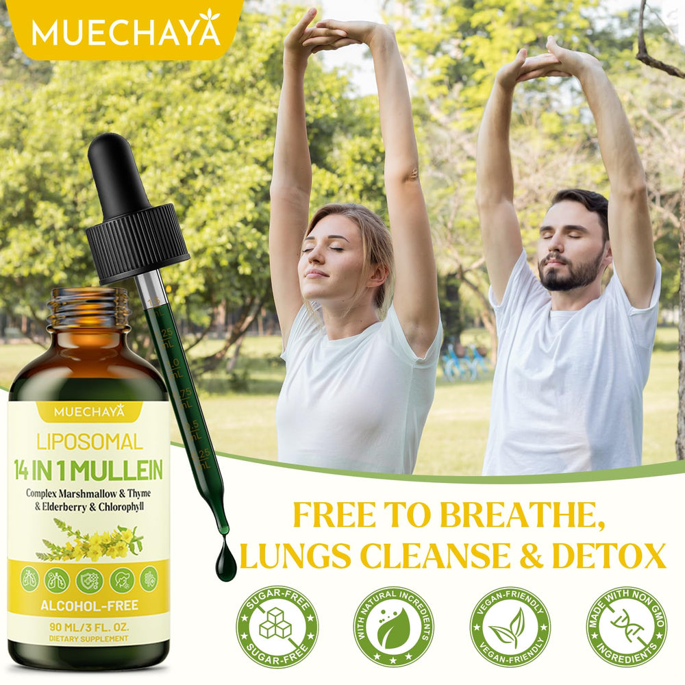 Muechaya Mullein Drops packaging box emphasizes clean, non-GMO, sugar-free formula.