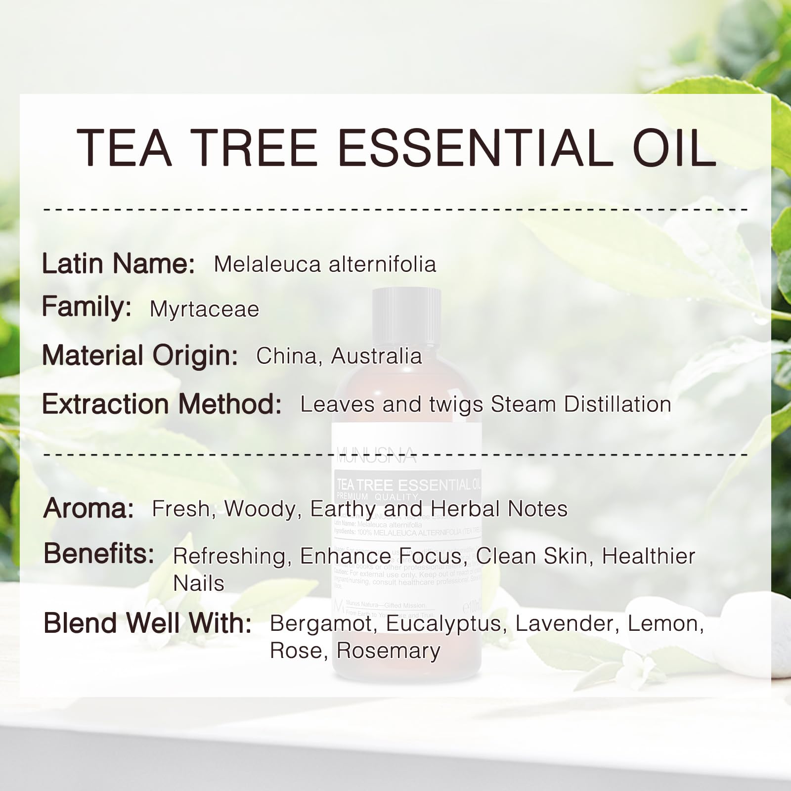 MUNUSNA Tea Tree Oil nails care with carrier oil massage.