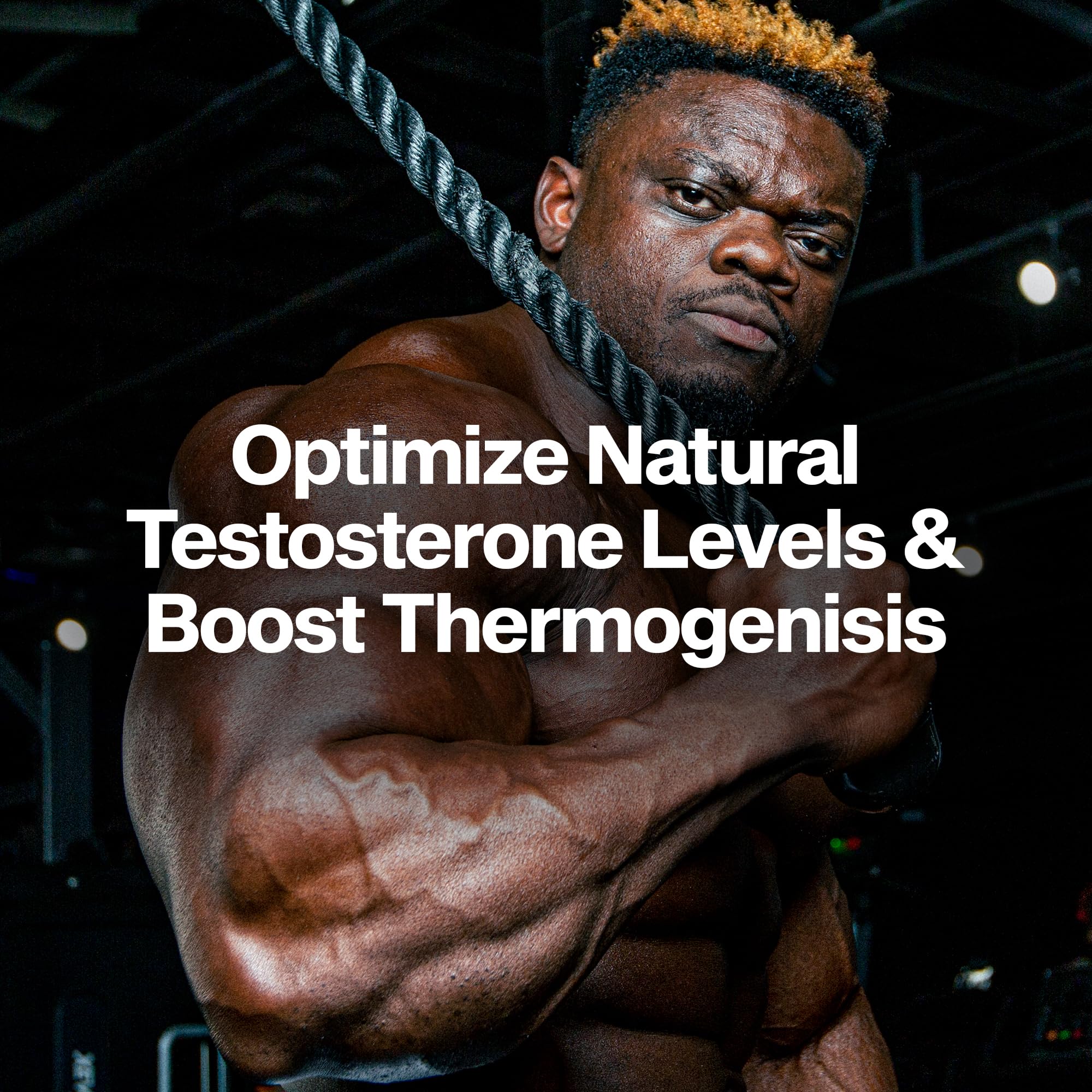 AlphaTest Thermo scoop showing serving guidance for workouts.