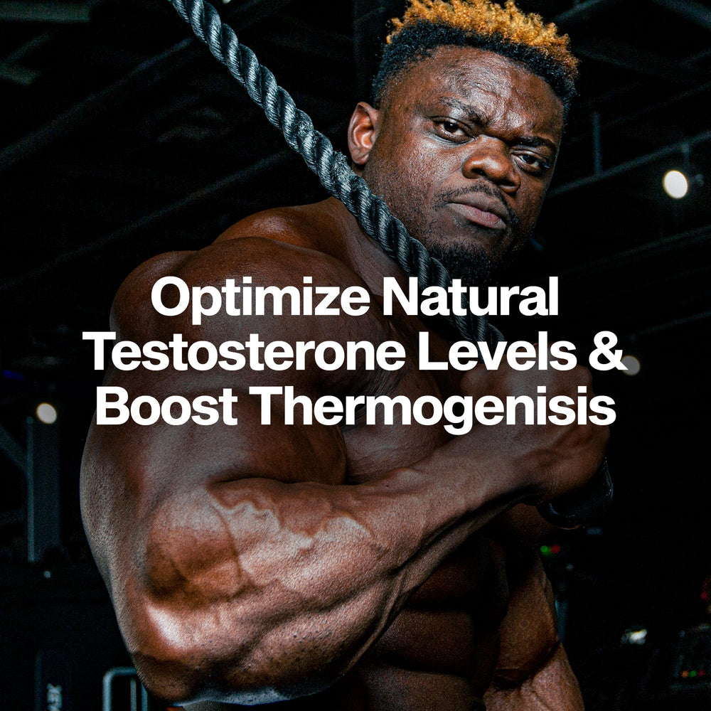 AlphaTest Thermo scoop showing serving guidance for workouts.