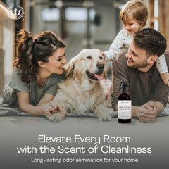 Muse Apothecary tonka bean amber cedarwood scent enriching living spaces.