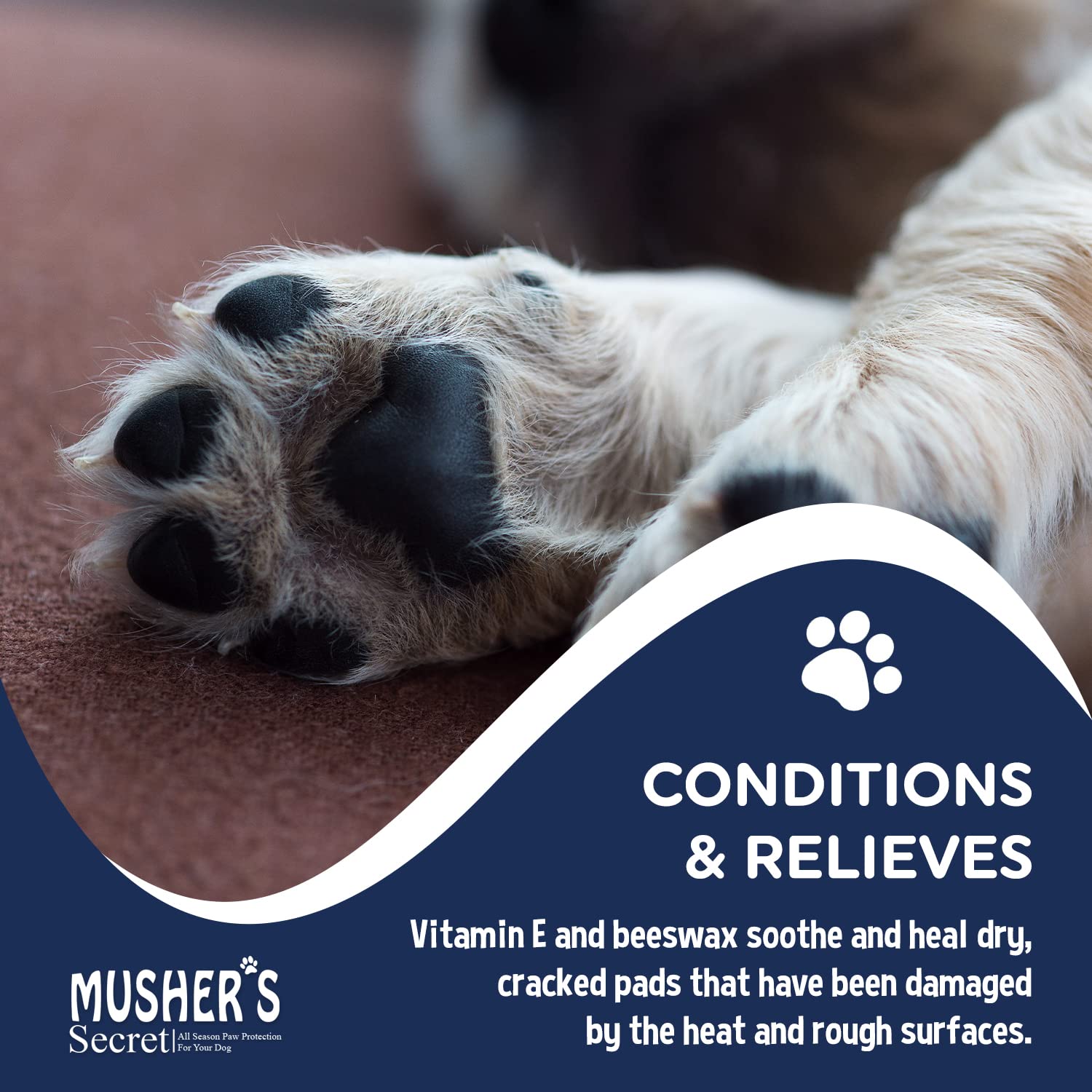 Hot pavement use of Musher's Secret paw wax protects paws on sunny days.