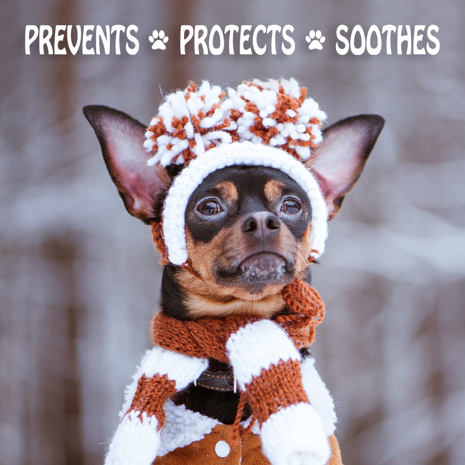 Snow-ready Musher's Secret paw wax creates a protective barrier for paws.