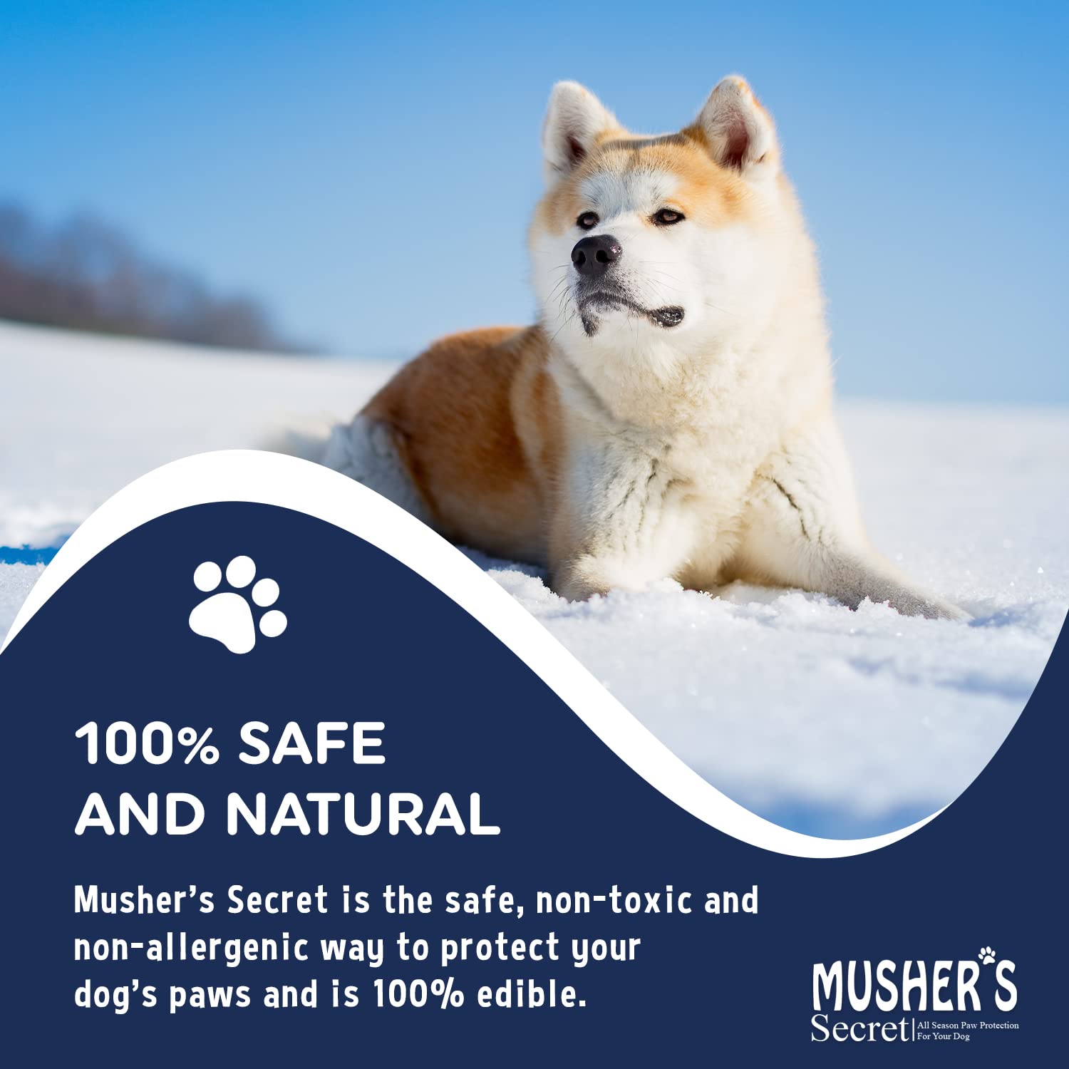 Safe for other animals, Musher's Secret used on multiple pets safely.